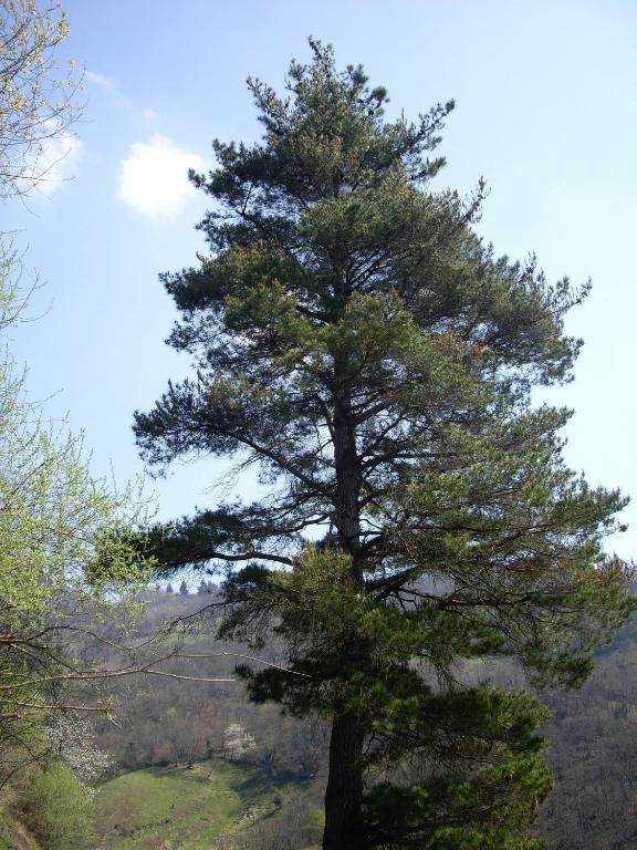 El Cobijo De Villar Mieres  Exteriör bild